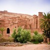 Марокко: особенная страна для особенного масла
