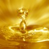 Аргановое масло — марокканское золото
